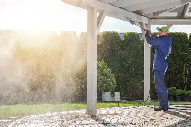 Best Pre-Holiday Cleaning  in Midvale, UT