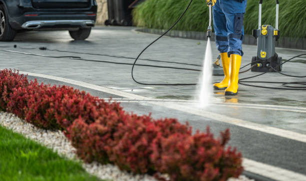Best Roof Washing  in Midvale, UT